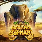 African Elephant game icon